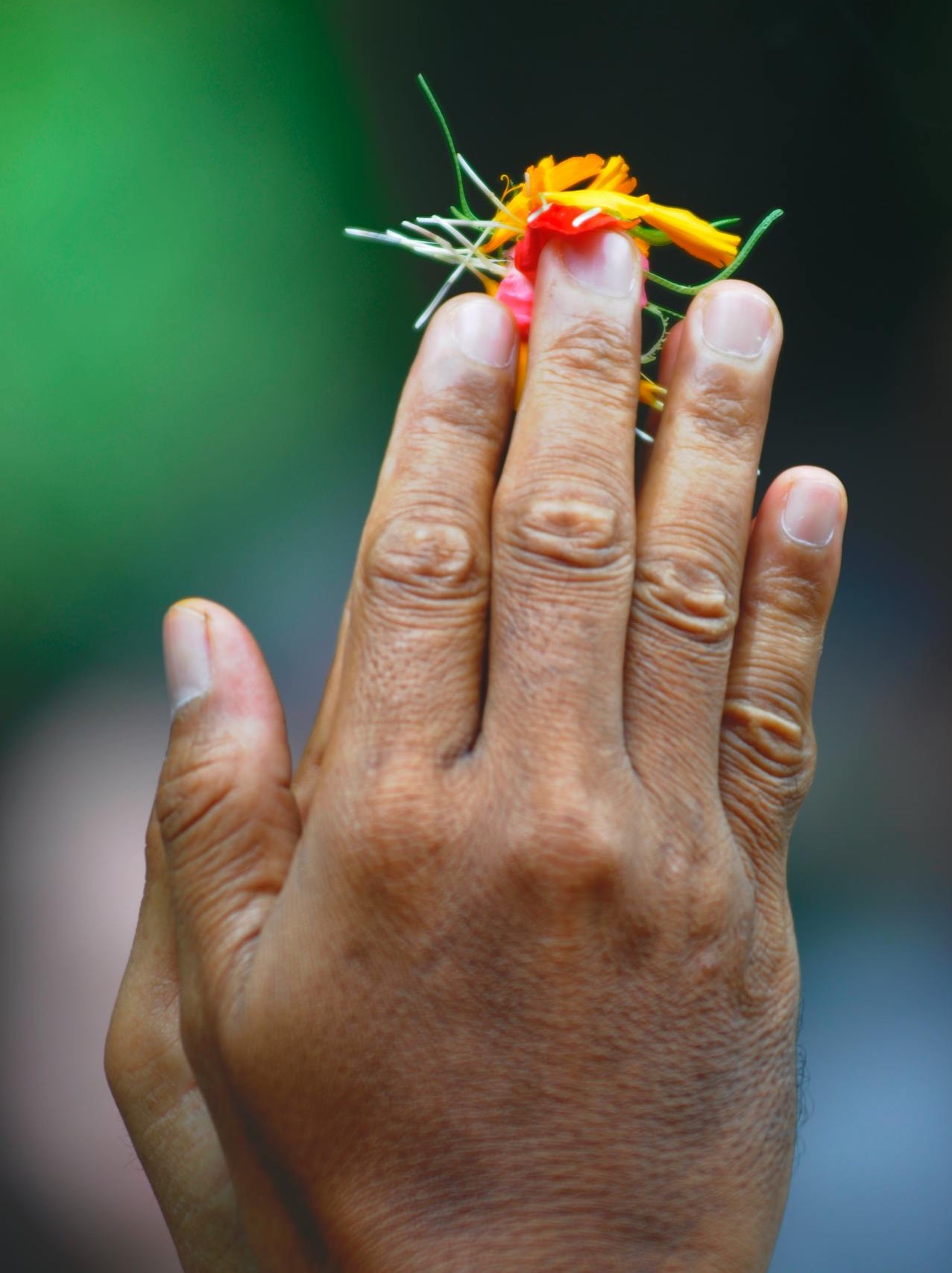 dharma
